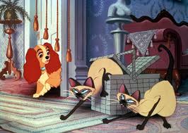 These cats are jerks.