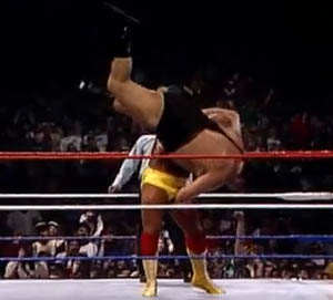 I'm pretty sure there's a law somewhere that says I have to post this picture if I'm going to talk about WrestleMania III.