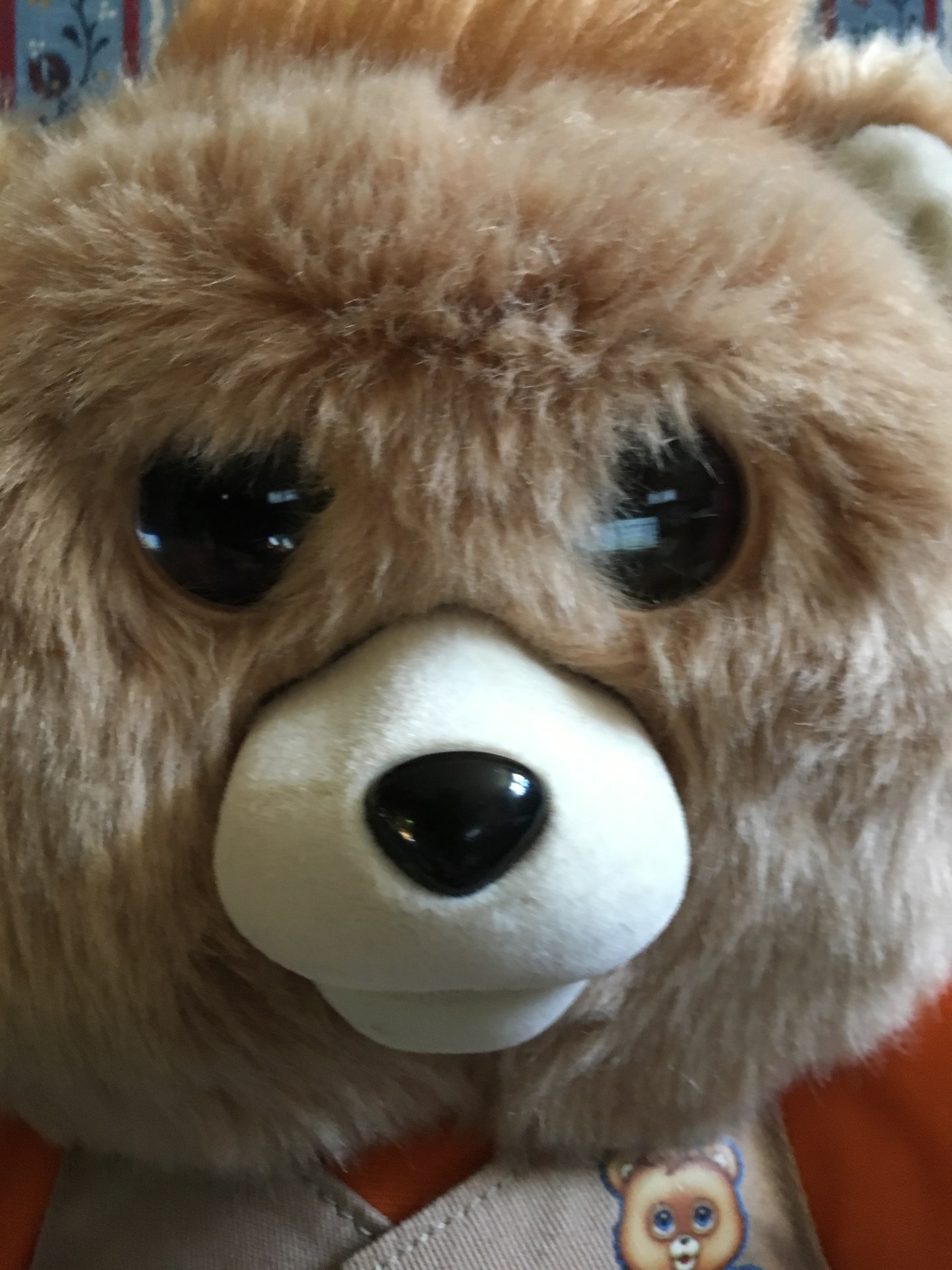 Teddy Ruxpib Teddy Ruxpin 2017 Toy Review | The Nostalgia Spot