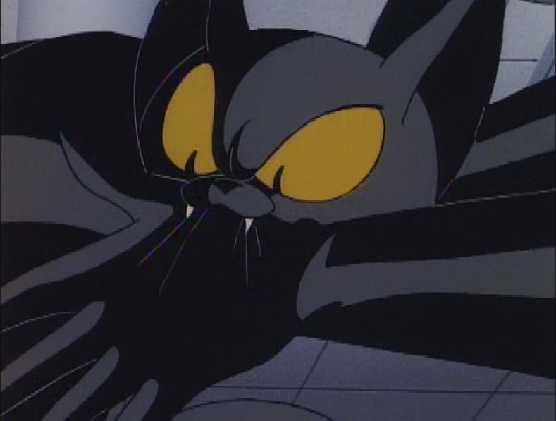 Cat_Scratch_Fever_Bite