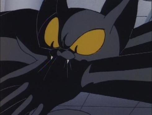 Cat_Scratch_Fever_Bite