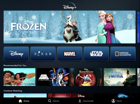 disney+ dash
