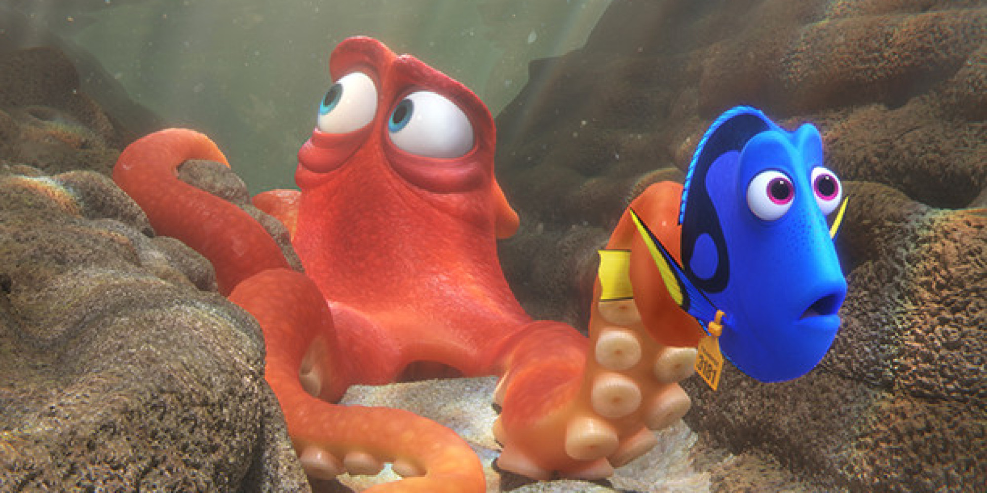 hank and dory