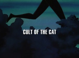 cult of the cat